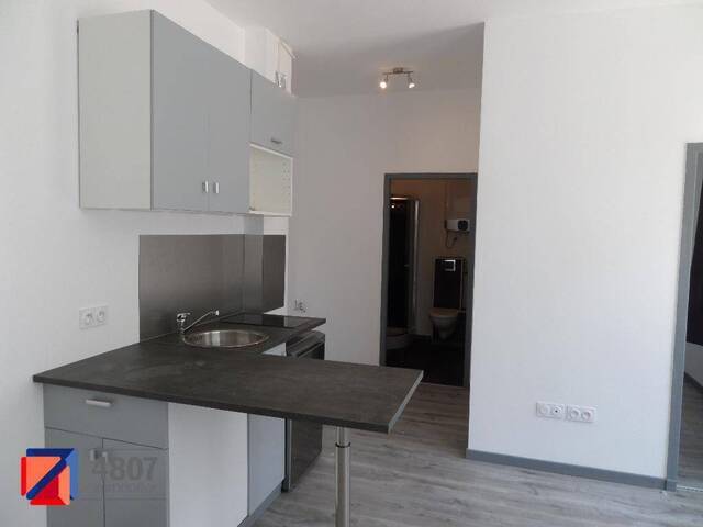 Location appartement 1 pièce 27.41 m² à Annecy (74000) 4