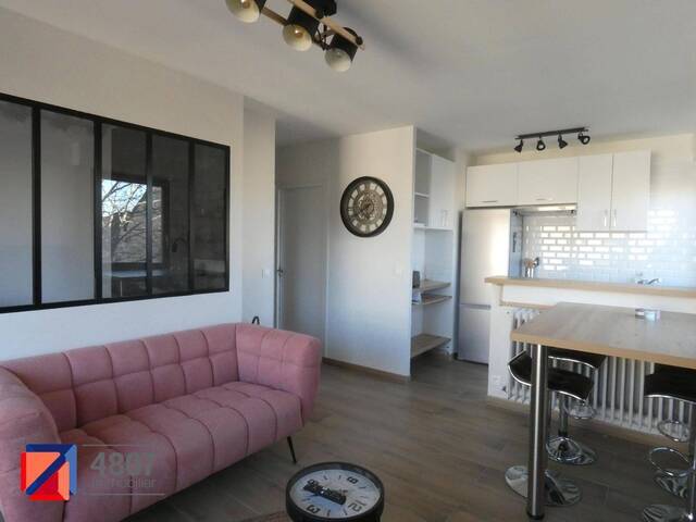Location appartement 1 pièce 29.9 m² à Annemasse (74100) 4