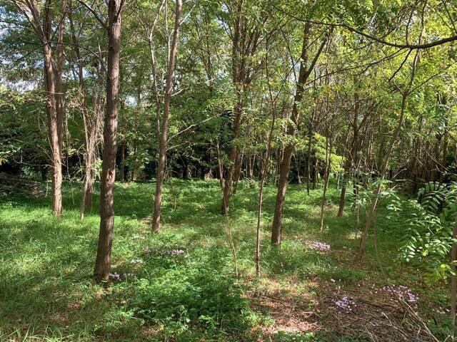 Vente terrain constructible 1139 m² à Aubenas (07200)
