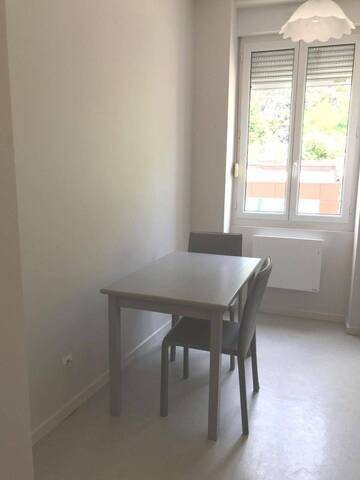 Location Appartement 1 pièce 20.1 m² Vienne (38200)