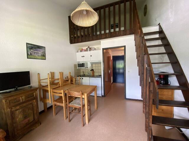 Vente appartement 3 pièces 34.48 m² à Saint-Agnan-en-Vercors (26420)