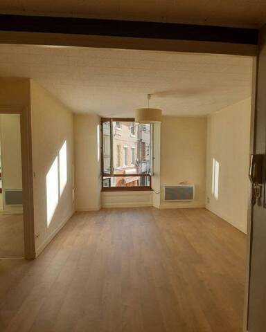Location appartement 2 pièces 47 m² à Condrieu (69420) 4