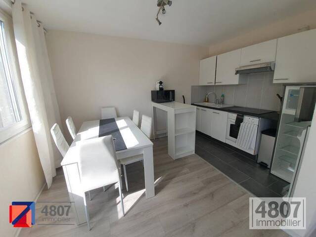Location appartement 2 pièces 46.3 m² à Gaillard (74240) 4