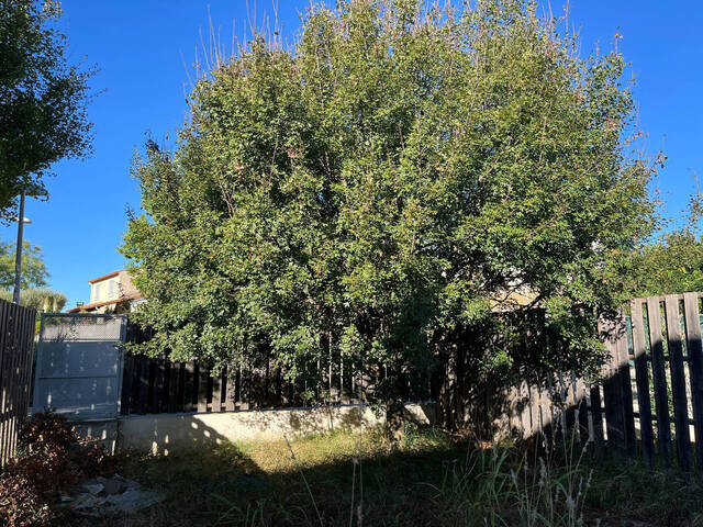 Vente maison 5 pièces 92 m² à Castries (34160)