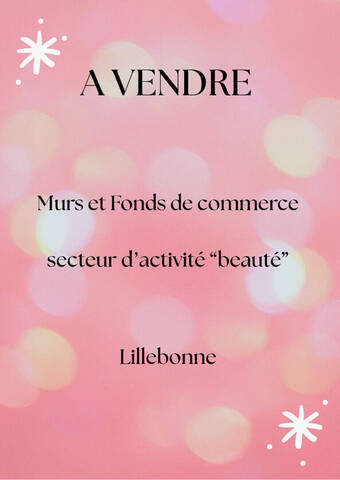 Vente immeuble à Lillebonne (76170)