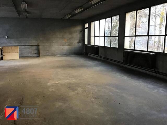 Location local locaux professionnels à Scionzier (74950)