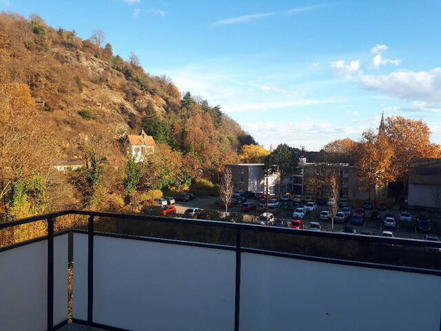 Location Appartement 2 pièces 41.26 m² Thann (68800)