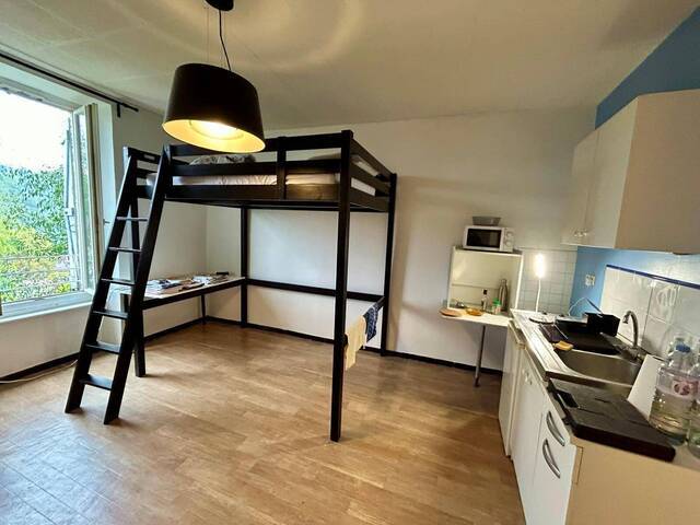 Location appartement 1 pièce 21.95 m² à Vienne (38200)