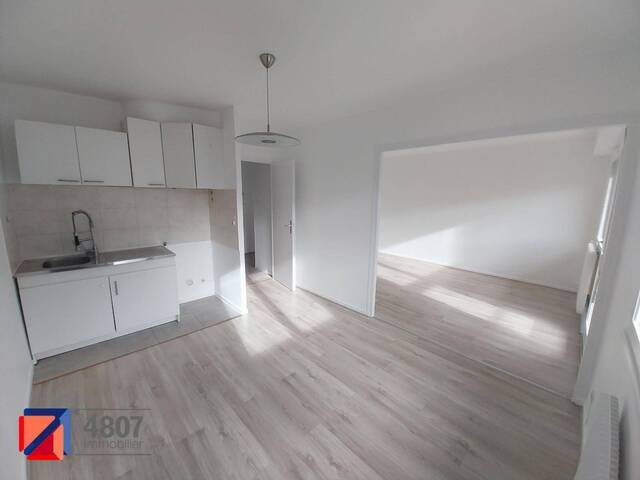 Location appartement 2 pièces 55.28 m² à Annemasse (74100) 4