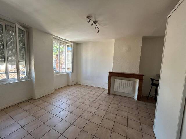 Location appartement 1 pièce 30.6 m² à Vienne (38200) 4