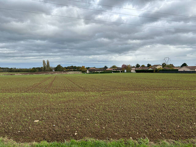 Vente Terrain Viré (71260)