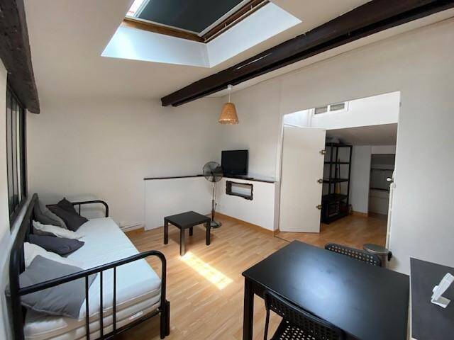 Location Appartement 1 pièce 30.15 m² Vienne (38200) 4