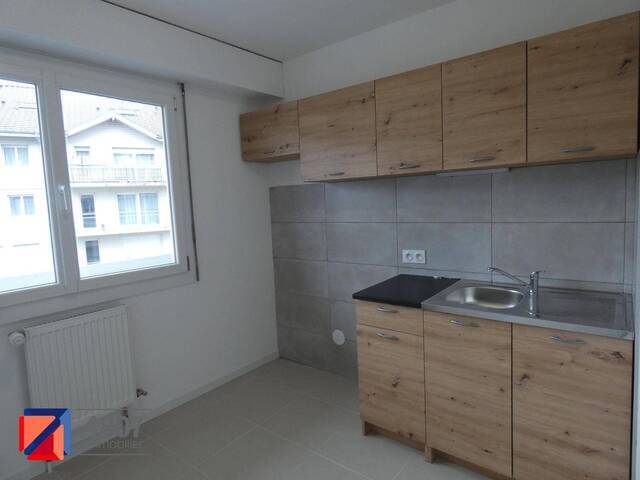 Location appartement ancien 1 pièce 29.43 m² à Annemasse (74100) 5
