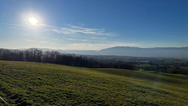 Vente appartement 4 pièces 82.39 m² à Archamps (74160)