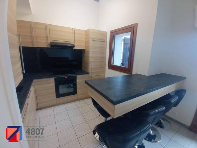 Location appartement 1 pièce 37.66 m² à Sallanches (74700) 4