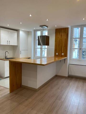 Location appartement rénové 3 pièces 62.5 m² à Vienne (38200) 4