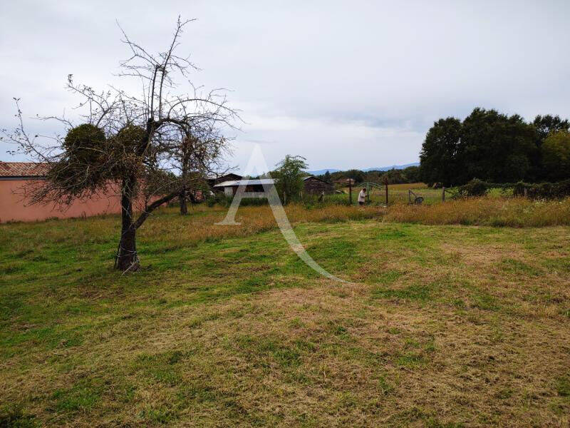 Buy land terrain in Replonges 01750 Cadastre AM85 (derrière la ferme)