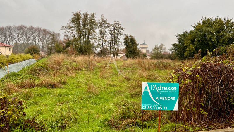 Vente terrain à Bâgé-le-Châtel 01380