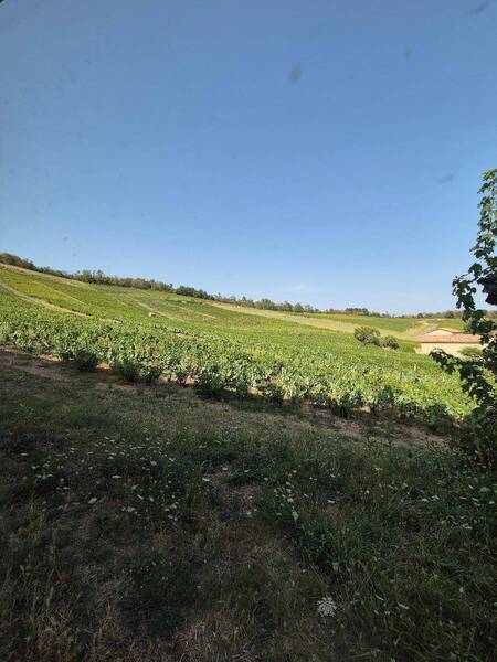 Location appartement 6 pièces 176 m² à Chénas 69840 6 - 1 230 €