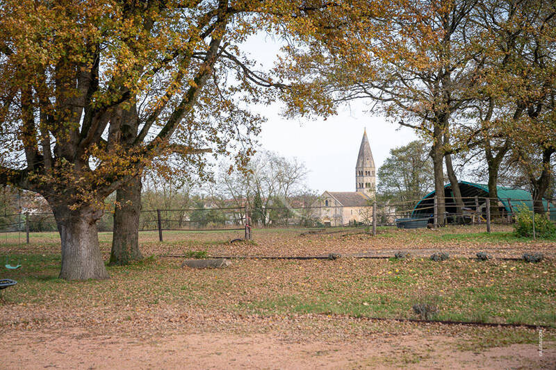 Vente maison 8 pièces 275 m² à Saint-André-de-Bâgé 01380