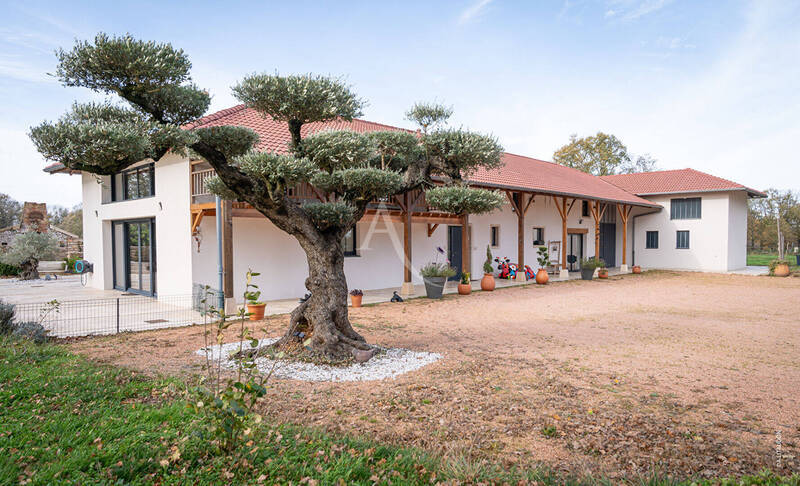 Vente maison 8 pièces 275 m² à Saint-André-de-Bâgé 01380
