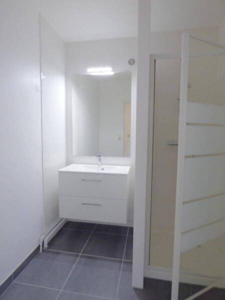 Location appartement 3 pièces 79.32 m² à Villeurbanne 69100 5 - 1 060 €