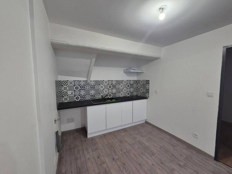 Location appartement rénové 3 pièces 57.87 m² à Thoissey 01140 4 - 690 €