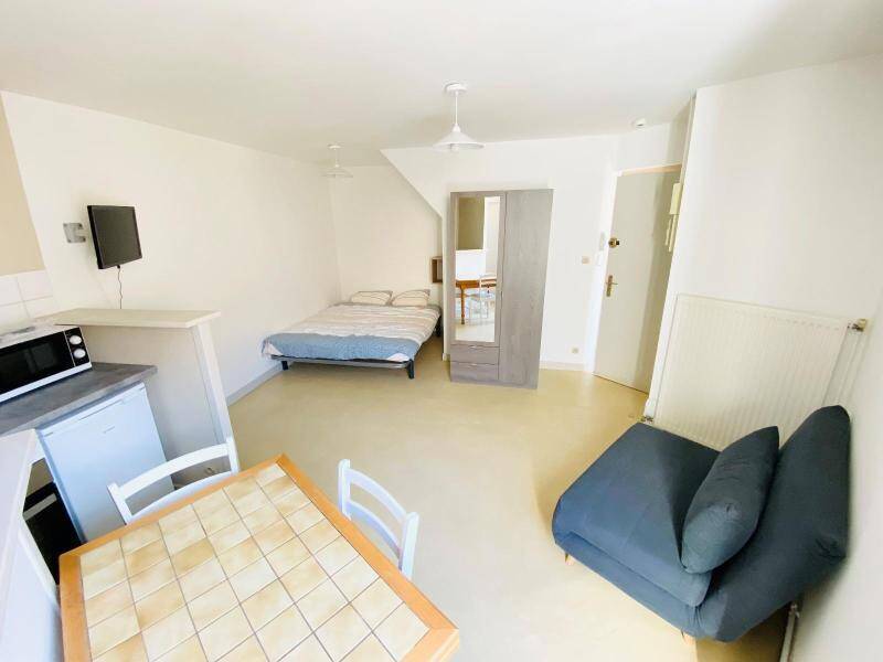 Location appartement 1 pièce 22.38 m² à Saint-Laurent-sur-Saône 01750 4 - 370 €