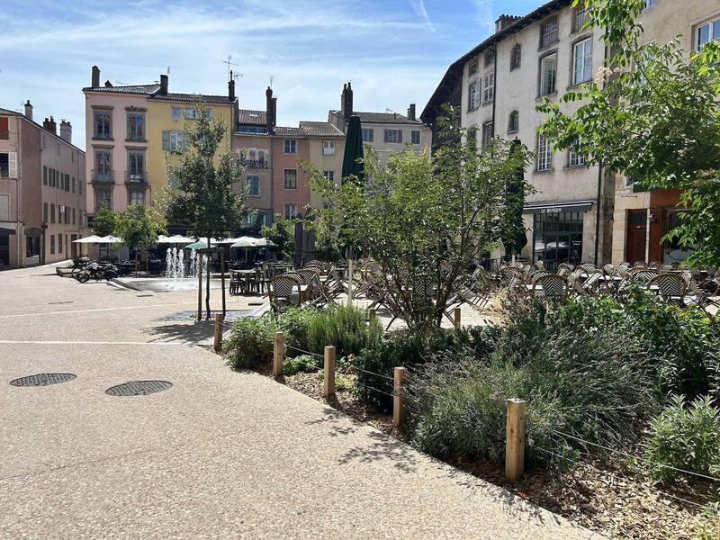 Rent professional premises boutique in Mâcon 71000 2 535 €