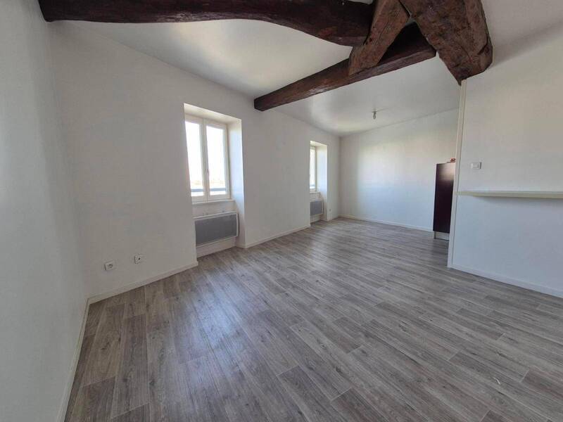 Location appartement 2 pièces 46.08 m² à Saint-Laurent-sur-Saône 01750 5 - 525 €