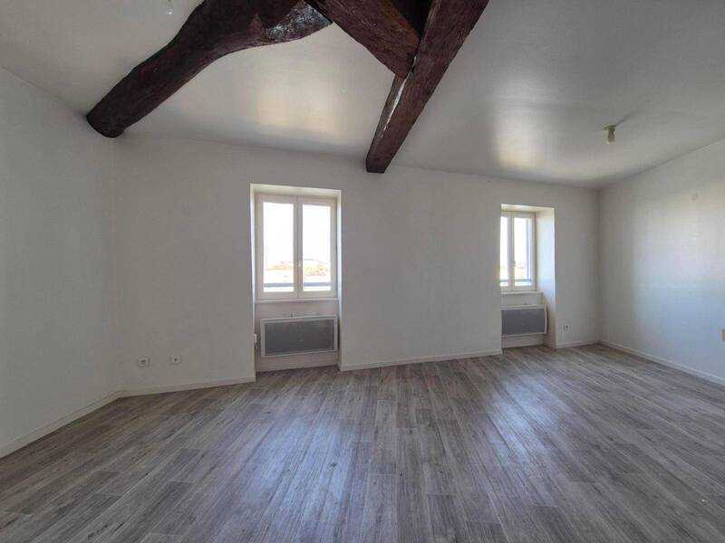 Location appartement 2 pièces 46.08 m² à Saint-Laurent-sur-Saône 01750 5 - 525 €