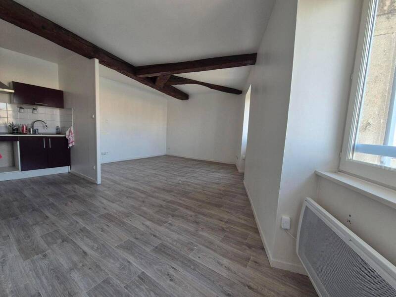 Location appartement 2 pièces 46.08 m² à Saint-Laurent-sur-Saône 01750 5 - 525 €