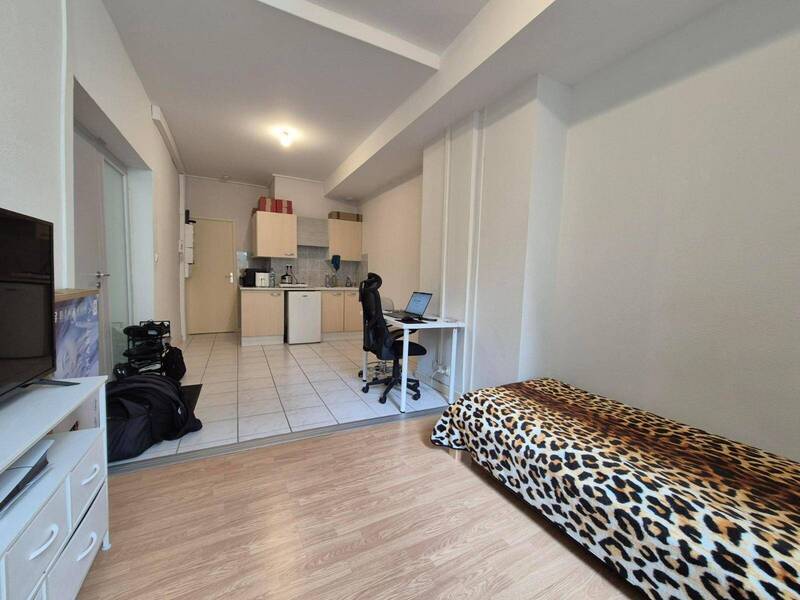 Location appartement 1 pièce 25.26 m² à Mâcon 71000 4 - 271 €