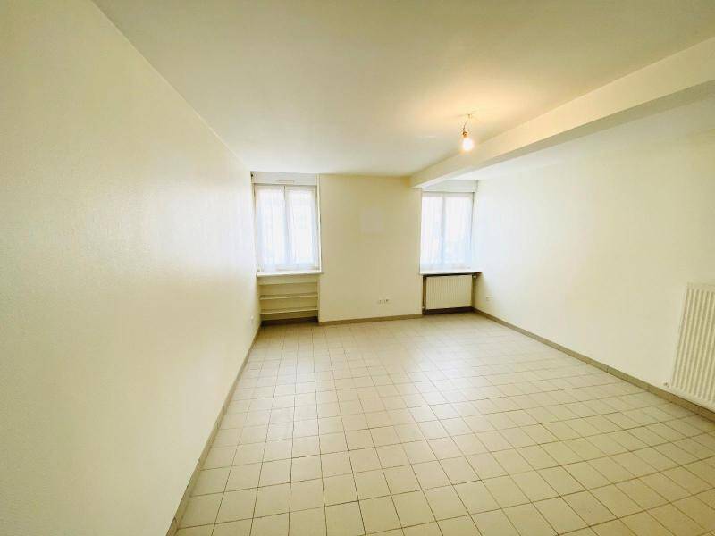 Rent apartment appartement 2 rooms 48.53 m² in Saint-Laurent-sur-Saône 01750 5 - 520 €