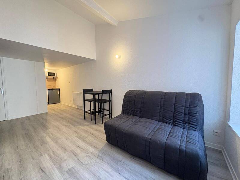 Location appartement 1 pièce 20.41 m² à Mâcon 71000 4 - 336 €