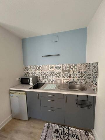 Location Appartement 1 pièce 24.72 m² Mâcon 71000 4