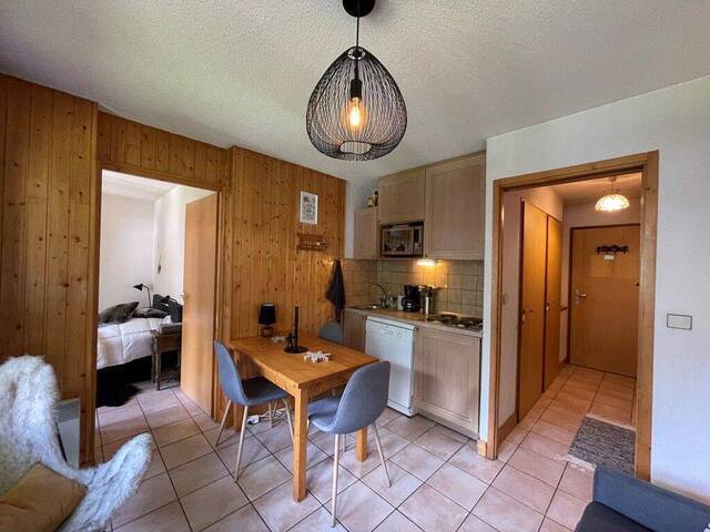 Season rentals Apartment f2 Chamonix-Mont-Blanc 74400 Centre ville