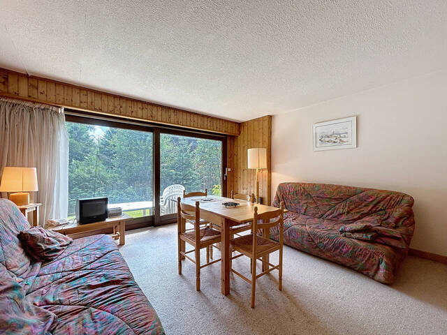 Vente Appartement rez de jardin 1 pièce Chamonix-Mont-Blanc 74400 ARGENTIERE