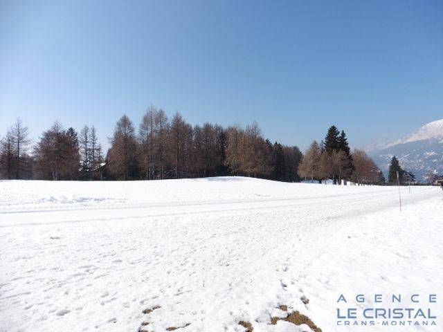 Location de vacances Appartement 5 pièces 7 personnes 130 m² Crans-Montana 3963