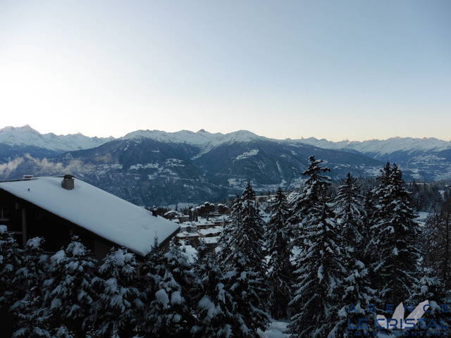 Location de vacances Appartement 6 personnes 75 m² Crans-Montana 3963