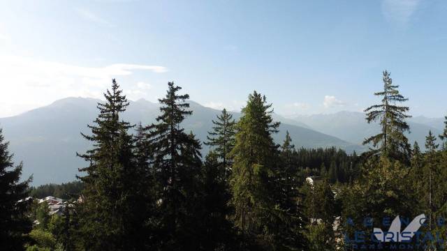 Holiday rent Appartement 2 sleeps 50 m² Crans-Montana 3963