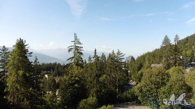 Holiday rent Appartement 2 sleeps 50 m² Crans-Montana 3963