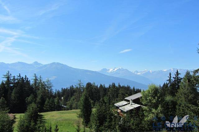 Location de vacances Chalet 6 personnes 110 m² Crans-Montana 3963