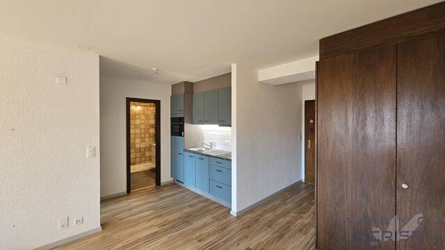 Location Appartement 2 pièces 75 m² Crans-Montana 3963