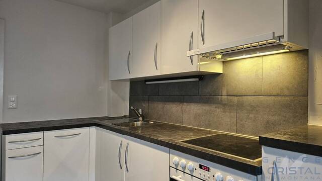 Location Appartement 2 pièces 75 m² Randogne 3975