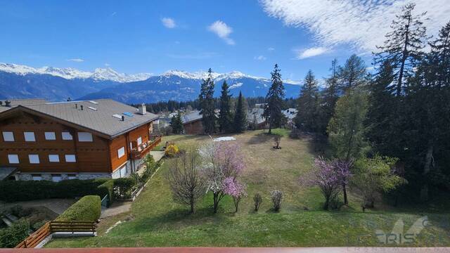 Vente Appartement 2 pièces 60 m² Crans-Montana 3963
