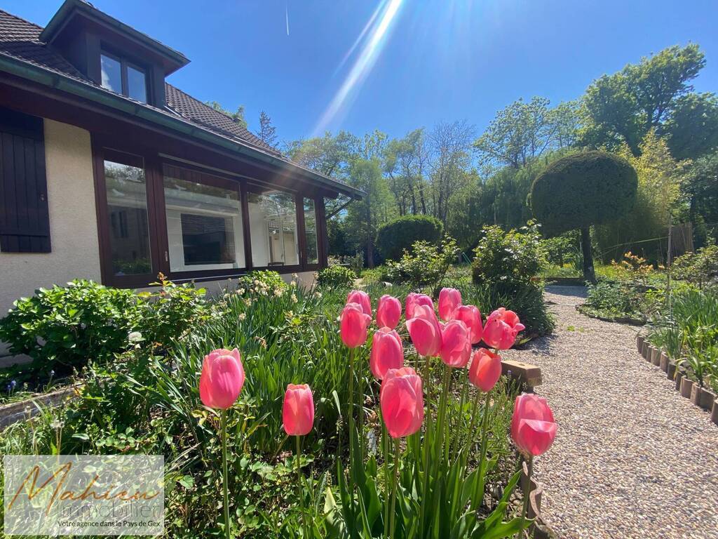 Vente Maison individuelle 7 pièces 206 m² Divonne-les-Bains 01220