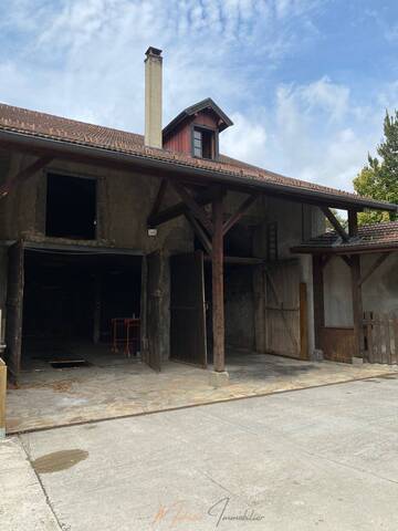Vente Maison ferme 1 pièce 150 m² Gex 01170