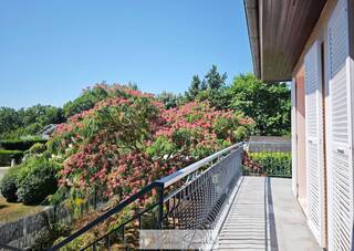 Vente Maison individuelle 8 pièces 222 m² Ornex 01210