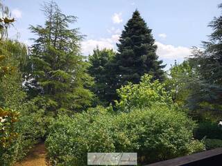 Buy Old house 6 rooms 122 m² Gex 01170